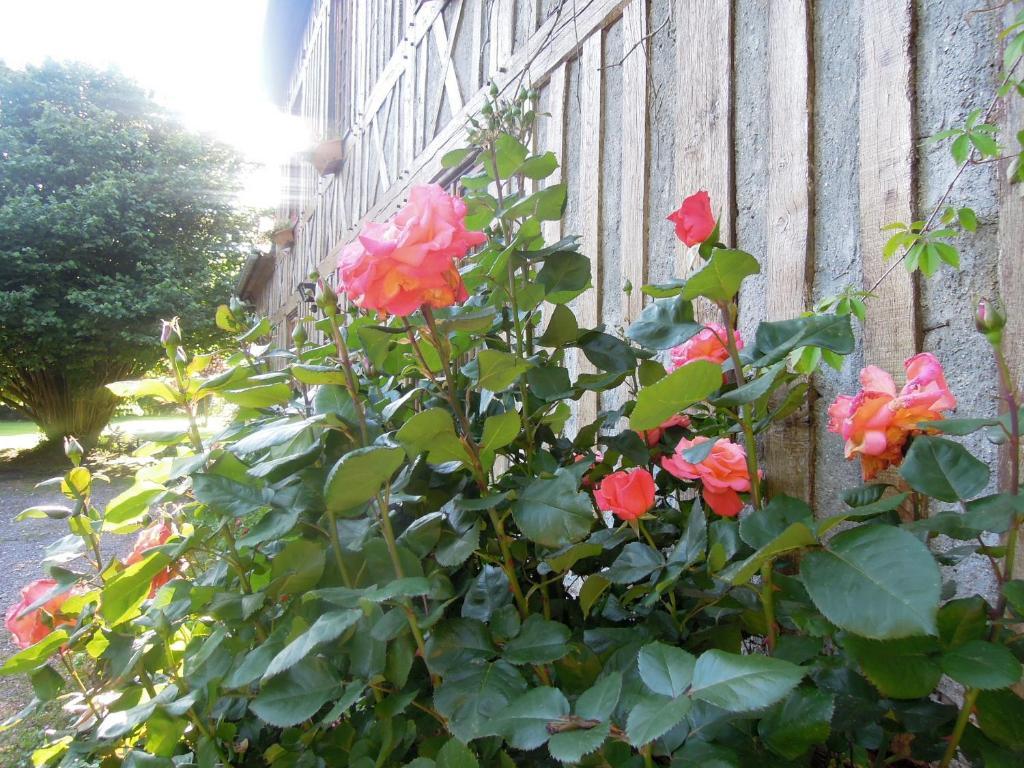 Gruchet-Saint-Siméon La Maison De Lalette B&B 외부 사진